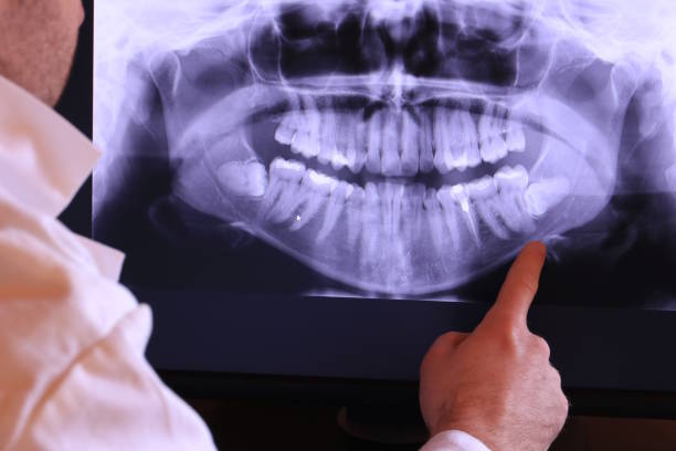 Best Emergency X-Rays and Diagnostics in Morganville, NJ